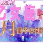 周りから期待される🌹乙女座♍さん【5月前半の運勢〜1日〜15日の流れ・仕事運・人間関係】#タロット占い #直感リーディング #2023