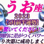 【魚座♓5月前半運勢】圧倒的な付加価値で他と差がつく成功運♪♪手当り次第やっちゃいましょう！　✡️4択でお財布📬付き✡️　❨タロット占い❩