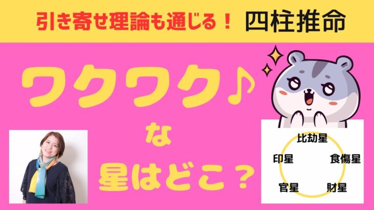 【四柱推命】ワクワクな星はどこ？