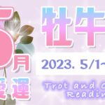 【タロット占い　おうし座　2023年5月】今月のあなたの恋愛運　お相手の気持ち　片思い　両思い　恋の行方　恋人　結婚　過去・現在・未来の恋占い【牡牛座】【Taurus】【タロットオラクルリーディング】