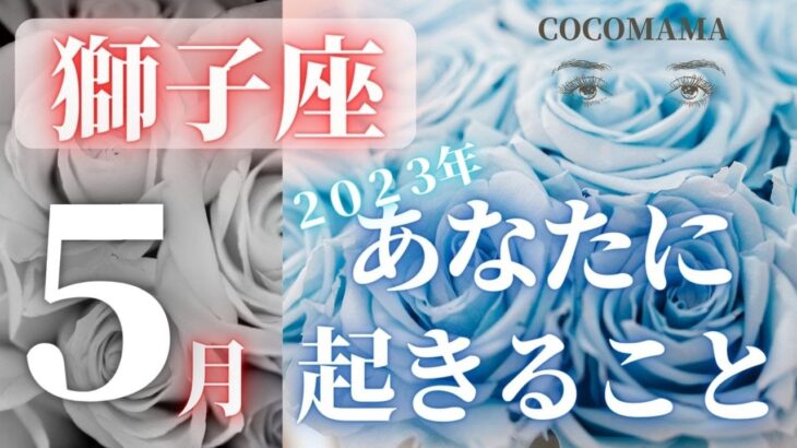 獅子座♌️ 【５月あなたに起きること⭐】2023　ココママの個人鑑定級、ビックリ当たる！タロット占い🔮