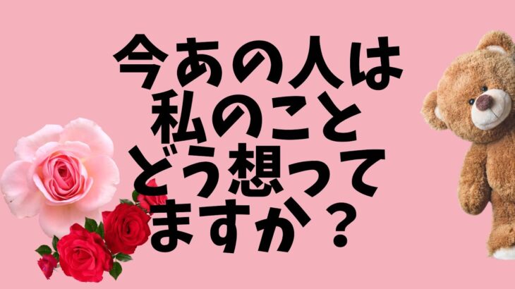 今あの人は私のことどう想ってますか？お相手の気持ち❤️‍🔥恋愛タロット占い オラクルカード 片思い 両思い 復縁 複雑恋愛など