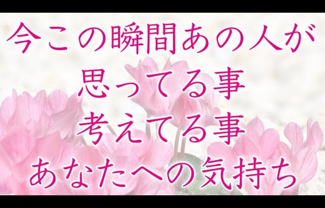 【恋愛】今この瞬間あの人が思ってる事  考えてる事  あなたへの気持ち🦋🌼💕【タロットオラクルルノルマンリーディング】