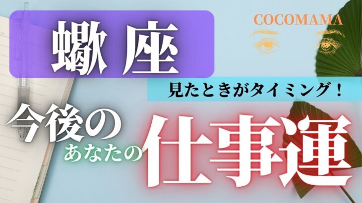 蠍座♏️ 【お仕事運⭐見たときがタイミング】ココママの個人鑑定級よく当たる！タロット占い🔮