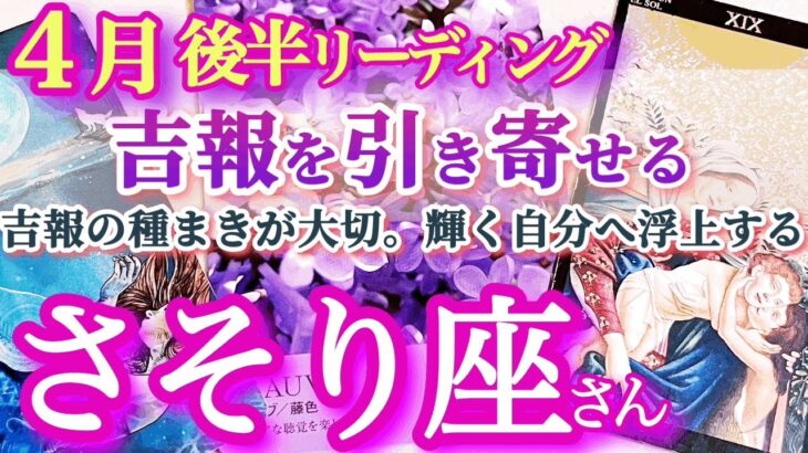 蠍座4月後半【収穫の時が来る！願いが叶う秘訣は種まきと感謝】苦しみが終わる時　これからは自分が光を放つ存在になる　　さそり座　4月運勢