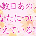 【恋愛】あの人があなたについて考えている事🦋🌼💕【タロットオラクルルノルマンリーディング】