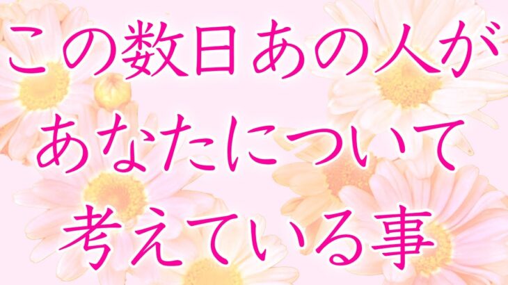 【恋愛】あの人があなたについて考えている事🦋🌼💕【タロットオラクルルノルマンリーディング】