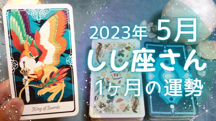 しし座さん♌️5月の運勢✨全体運・仕事運・人間関係・金運