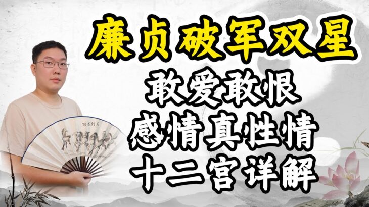 紫微斗数廉贞破军双星，敢爱敢恨感情真性情，入夫妻等十二宫详解