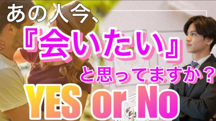 今彼は会いたいと思ってますか？💛あの人の本音をYESorNOでハッキリ答えます【タロット王子の恋愛占い🤴🏼】やっぱり2人が最高❤️👊長所と相性から2人をハガレンに例えます🎬 衝撃の結果に涙…