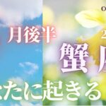 蟹座♋️ 【４月後半あなたに起きること🌈】2023　ココママのビックリ！！よく当たる❤個人鑑定級タロット占い🔮