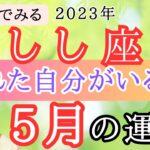 【しし座】5月の運勢⭐️占星術から解説！🍀全体運・起こりそうなこと【仕事運金運・恋愛運】