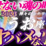 【魚座♓2023年運勢】魂からの叫びは隠せません！！だから私は私を幸せにします！！スペシャルメッセージ　✡️ヤバメな事✡️　❨オラクル、タロット占い❩