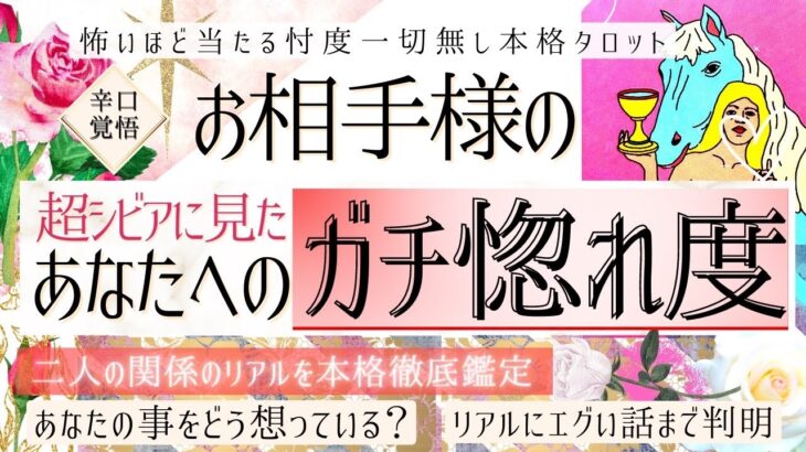 【超シビアな鑑定につき⚡️見る覚悟必要です】お相手のあなたへガチ惚れ度❤️お相手の気持ち【辛口覚悟💓有料鑑定級】忖度一切無し、本格鑑定