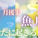 魚座♓️ 【４月後半あなたに起きること🌈】2023　ココママのビックリ！！よく当たる❤個人鑑定級タロット占い🔮