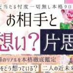 【💏な選択肢は１つだけ💓】両想い？片思い？❤️お相手の気持ち【辛口覚悟💓有料鑑定級】忖度一切無し、本格鑑定