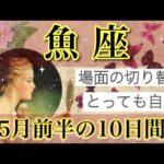 魚座💐5月前半の10日間｜静と動。自然に切り替わるから安心🌈人間関係，パートナー，仕事，願望実現について/オラクルカード，タロットカードからアドバイス