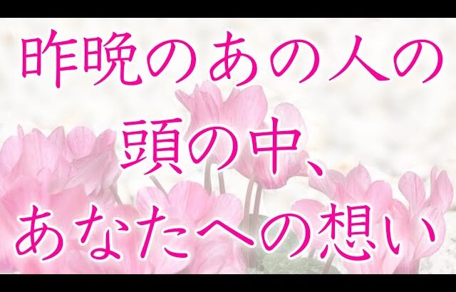 【恋愛】昨晩のあの人の頭の中    あなたへの想い🦋🌼💕【タロットオラクルルノルマンリーディング】