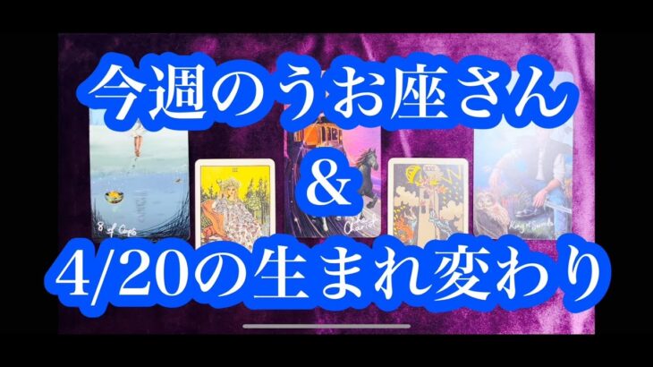 特別な日「金環皆既日食」！今週のうお座さん ＆ ４/20の生まれ変わりについて。Special day Annular total solar eclipse! 4/20 Reincarnation.