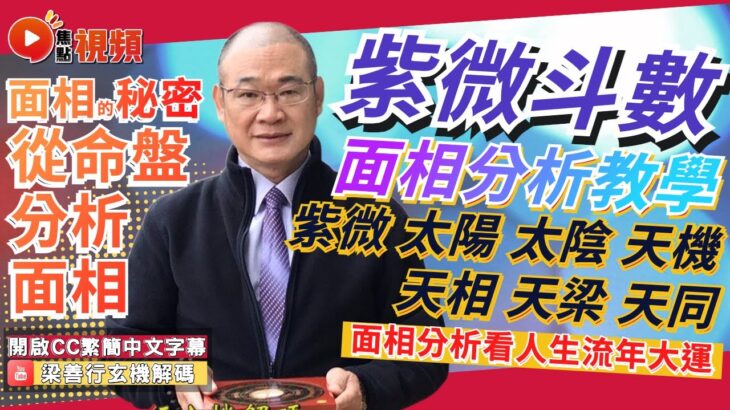 紫微斗數面相分析教學（上）【紫微、太陽、太陰、天機、天相、天梁、天同】 #面相教學 #面相 #面相十二宮 #紫微斗數 #面型《梁善行玄機解碼》 EP93 20230405