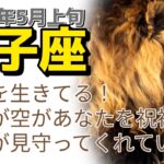 5月上旬獅子座♌｢今｣を存分に生きて！太陽と虹🌈、神様があなたを祝福してくれている、守られている👼🏼❤