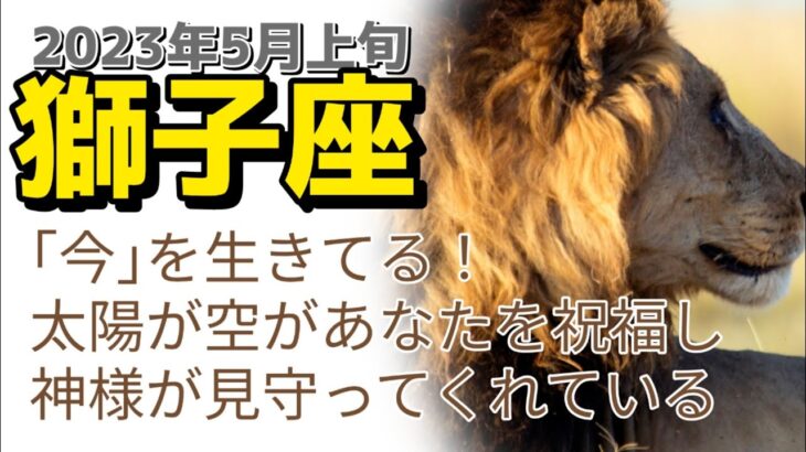 5月上旬獅子座♌｢今｣を存分に生きて！太陽と虹🌈、神様があなたを祝福してくれている、守られている👼🏼❤