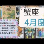【タロット占い】4月度蟹座✨運龍様が飛び出した‼️運気アップ‼️更に昇龍様まで‼️一気にステージアップ‼️いい流れ来ています❗️おめでとうございます🎉🎉