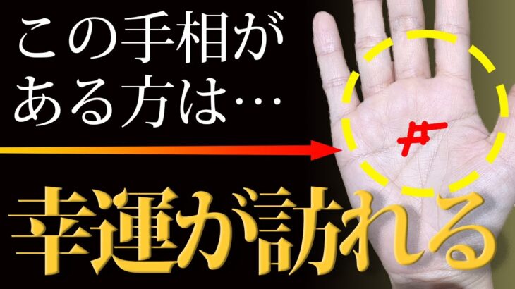 【手相占い】手のひらの真ん中にある四角形は幸運？不幸？どっちだ？？【手相鑑定 vol.210】