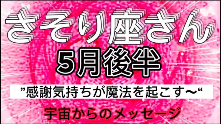 さそり座⭐️5月後半2023年⭐️“  高い意識へ目醒める〜”⭐️宇宙からのメッセージ ⭐️シリアン・スターシード・タロット⭐️Scorpion ♏️