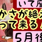 【5月後半の運勢】射手座　豊かさが絶えず入ってくる！超細密✨怖いほど当たるかも知れない😇#星座別#タロットリーディング#射手座