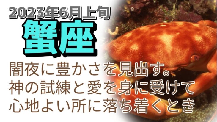 6月上旬蟹座♋闇夜に豊かさを見出す時。神の試練と神の愛、両方を身に受けて、心地の良い所に落ち着ける🙆‍♀️