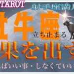 休憩を入れながら☕牡牛座♉さん【射手座満月🌝〜成果を出すために…すればいい事しなくていい事】#タロット占い #直感リーディング #2023