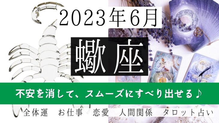 🌈さそり座♏2023年6月 │全体運・恋愛・仕事・人間関係 テーマ別タロットリーディング