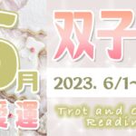 【タロット占い　ふたご座　2023年6月】今月の恋愛運　お相手の気持ち　片思い　両思い　恋の行方　恋人　結婚　過去・現在・未来の恋占い【双子座】【Gemini】【タロットオラクルリーディング】