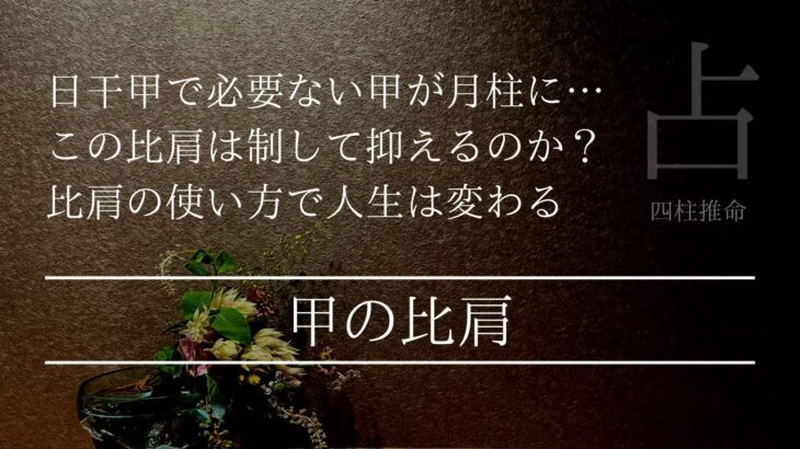 人生のターニングポイントがもうすぐ！甲はこの天地徳合をどう使う？