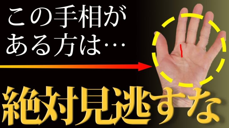 【手相占い】この手相を見逃さないで！人生を左右する手相【手相鑑定 vol.221】