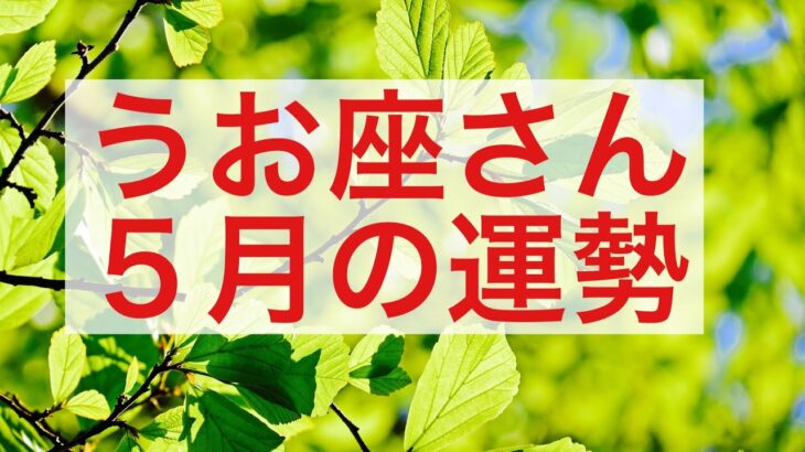 うお座さん5月運勢〜あなたの世界が完成！守られている！