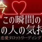 【恋愛💓】今この瞬間のあの人の気持ち🥰🌹🌈