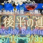 【5月16日~5月31日まで】あなたの運勢 Monthly Reading【2023年】忖度一切無し、タロット仕事/恋愛/金運/健康【本格辛口🌹】【有料鑑定級🎩】