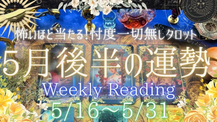 【5月16日~5月31日まで】あなたの運勢 Monthly Reading【2023年】忖度一切無し、タロット仕事/恋愛/金運/健康【本格辛口🌹】【有料鑑定級🎩】