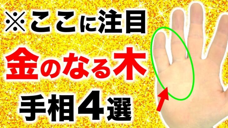 【手相】１００万人に１人の大金運！お金のなる木手相４選【マネーツリー】