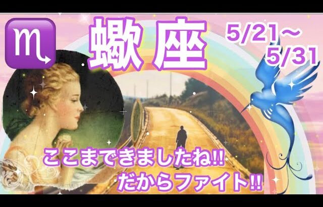 蠍座５月💐後半21日〜31日運勢♏ここまできましたね‼︎だからファイト‼︎🌈人間関係，パートナー，仕事，願望実現について/オラクルカード，タロットカードからアドバイス