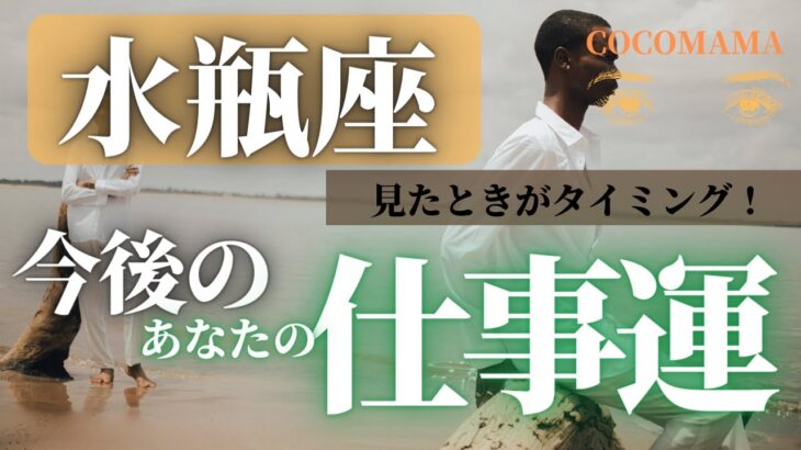 水瓶座♒️ 【お仕事運⭐見たときがタイミング】ココママの怖いほど見えてる👀　個人鑑定級タロット占い🔮