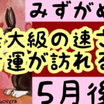 【5月後半の運勢】みずがめ座　最大級の速さで幸運が訪れる！超細密✨怖いほど当たるかも知れない😇#星座別#タロットリーディング#水瓶座