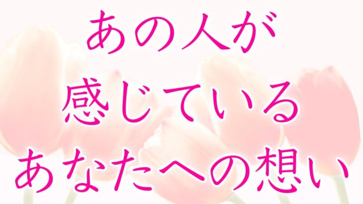 【恋愛】あの人が感じているあなたへの想い🦋🌼💕【タロットオラクルルノルマンリーディング】