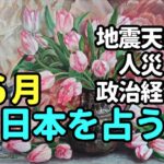 タロット占い　６月日本占うー地震、天災、人災、政治経済