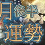 【16日〜31日】祝福が訪れる🌹５月後半の運勢は大変化の予感❤️全体/恋愛/仕事/健康/開運アクション・アイテム・カラー🌈個人鑑定級