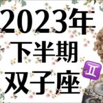 ６月～１２月♊想像を超える幸せが待っている双子座の2023年下半期運勢［個人鑑定級タロット］