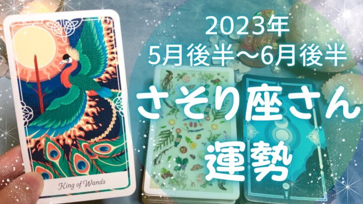 さそり座さん♏️5月後半〜6月前半の運勢✨全体運・仕事運・人間関係・金運