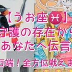 【うお座♓】〜守護の存在からあなたへ伝言〜準備万端！全方位戦えます!!